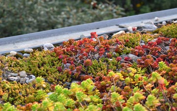 the cost of Drym green roof installation