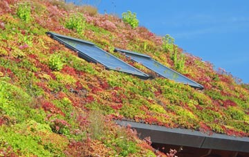 Drym living roof systems